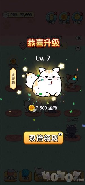 我的小猫