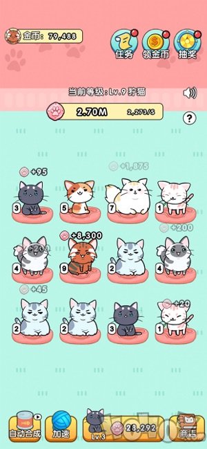 我的小猫