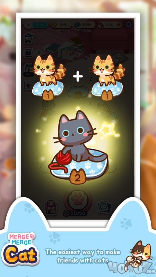 合并可爱猫咪