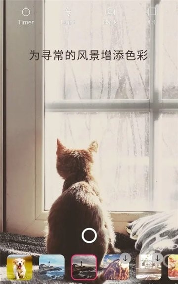 VUE视频剪辑截图