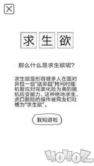 女友的81道送命题