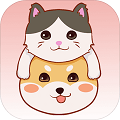 阿猫阿狗