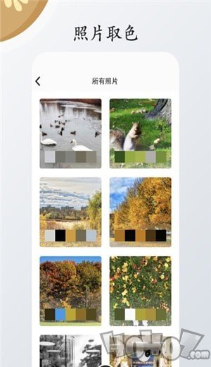 色采