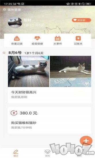 有猫
