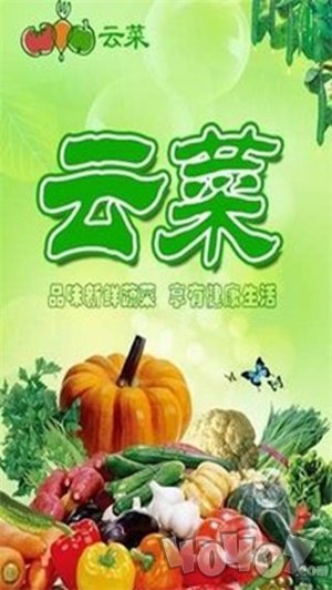 云菜
