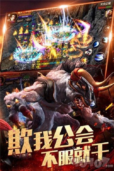 金鼠火龙