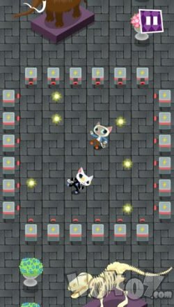 幻象猫