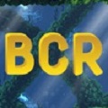 BCR探索海洋