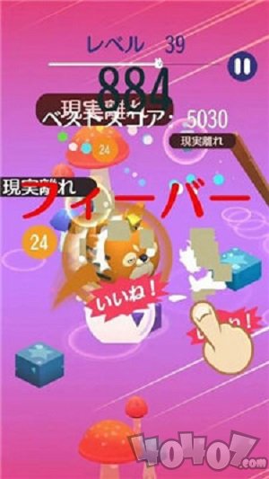 可爱桥