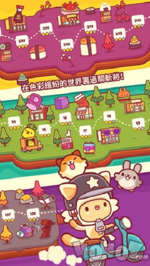 皮皮喵