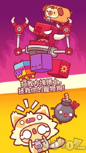 皮皮喵