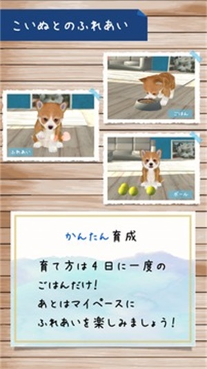 doglife截图