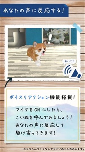 doglife截图