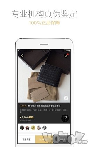 爱丁猫