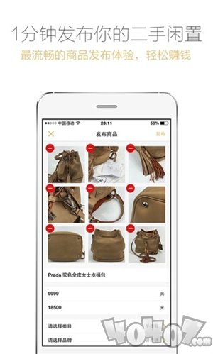 爱丁猫