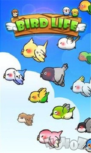 鸟类生活