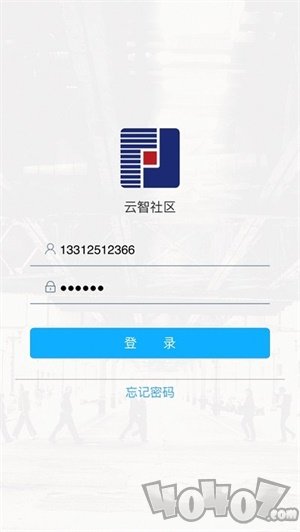 云智社区