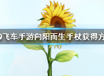QQ飞车向阳而生手杖怎么获得 免费永久手杖获取方法
