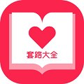 套路大全