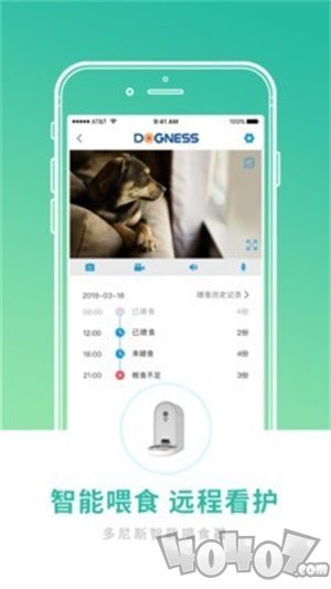多尼斯