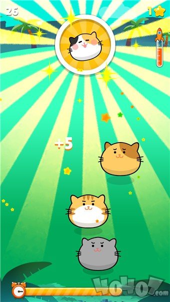Kitty Tap