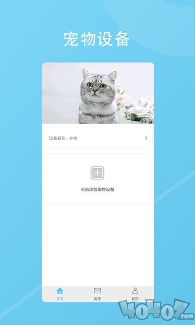 有家有宠