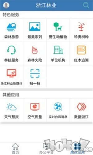 浙江林业