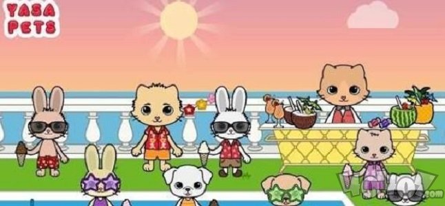 雅莎宠物机场