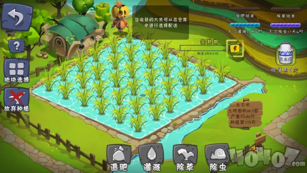 一乙农场