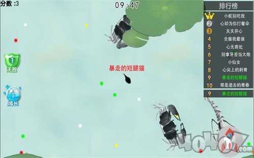 蝌蚪变青蛙