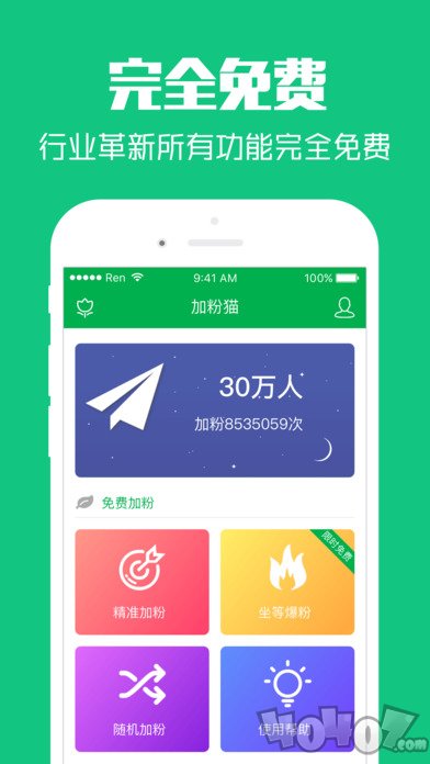 加粉猫
