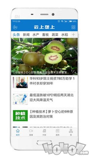 云上垄上