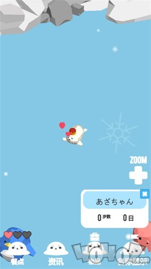 海豹生活