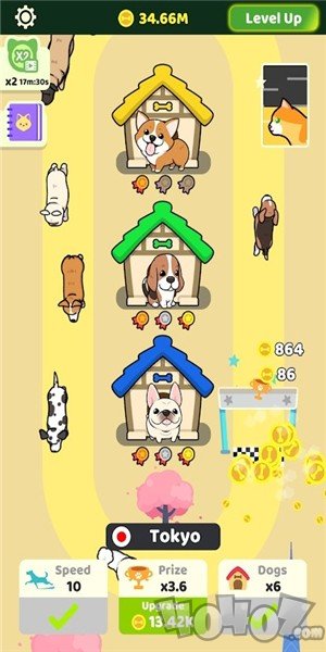 跑跑狗狗