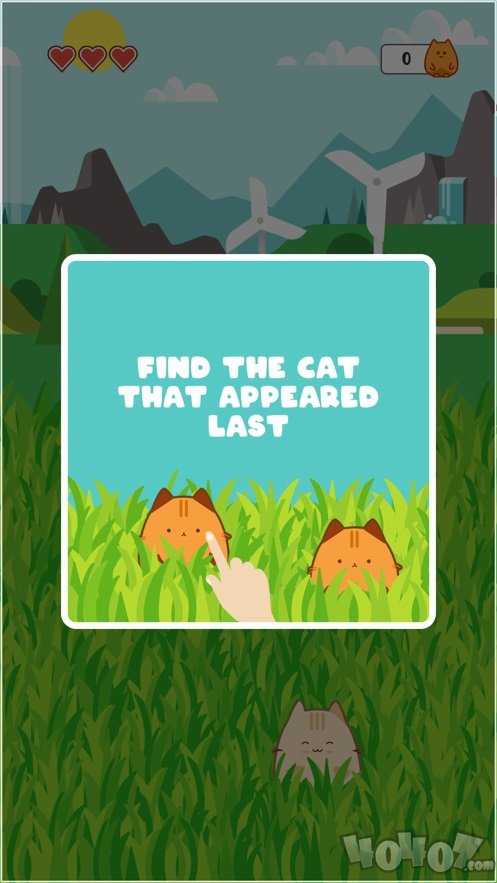 猫记忆训练师