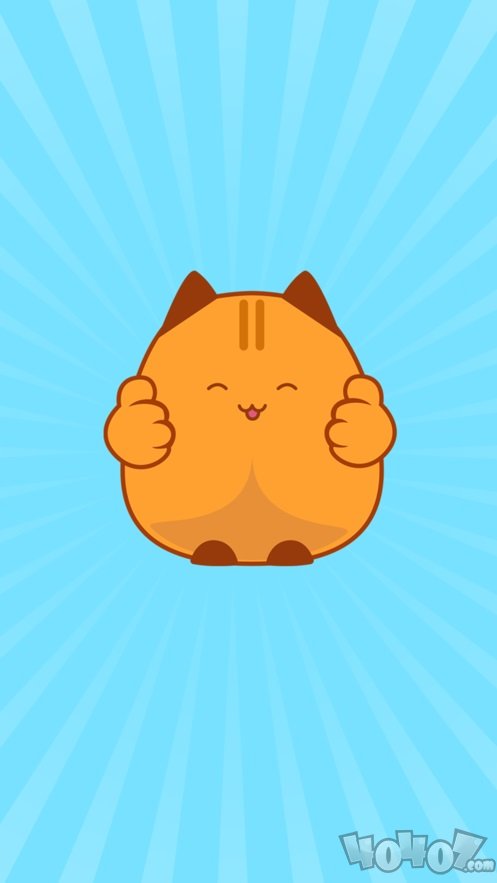猫记忆训练师