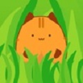 猫记忆训练师