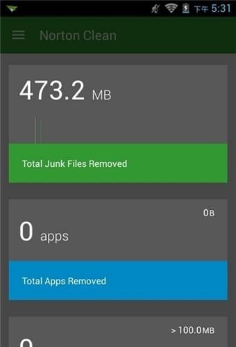 Norton Clean截图