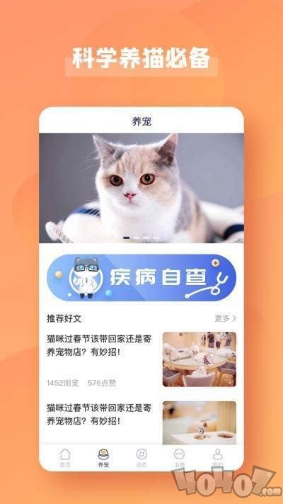 宠酱