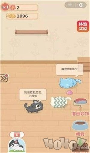 奇妙猫之家