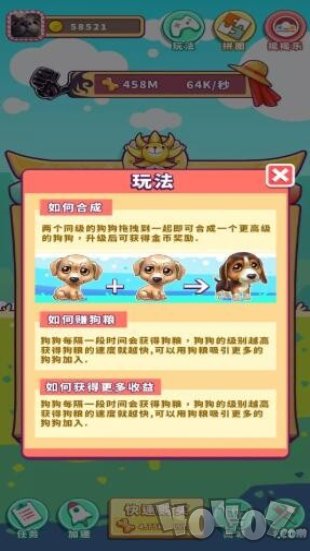 阳光宠物狗