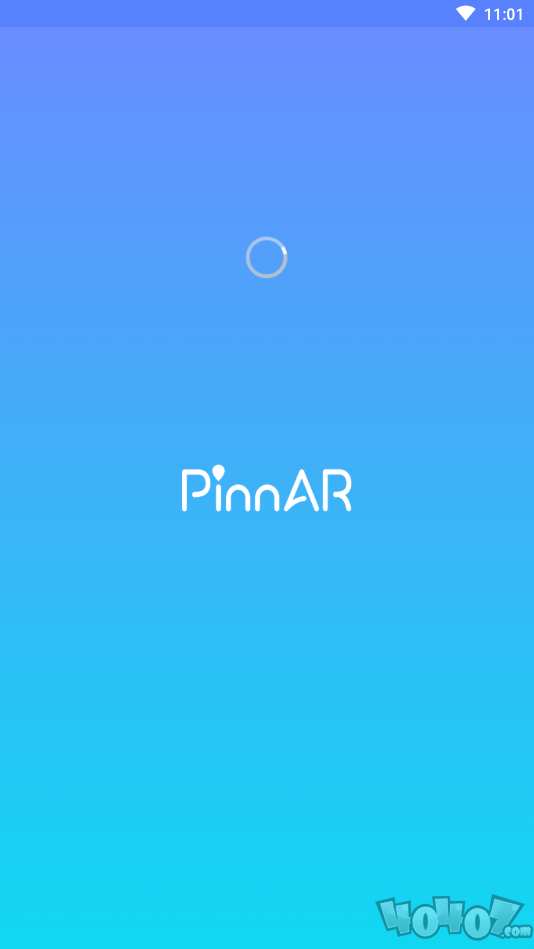 PinnAR