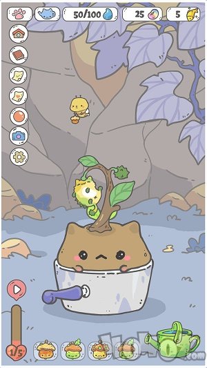 我的猫盆栽
