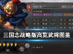 三国志战略版高览怎么样 高览战法属性介绍