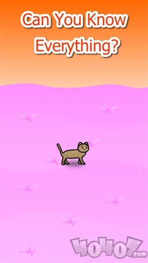 流浪猫的冒险