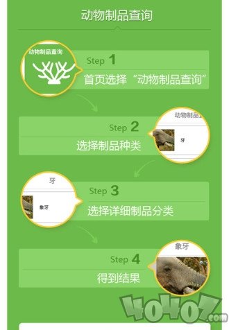 动物守护者