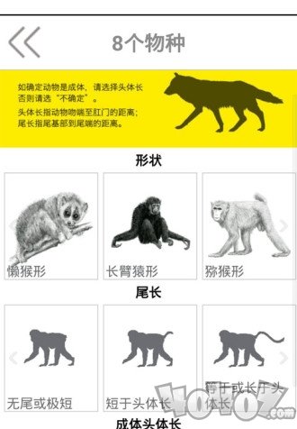 动物守护者