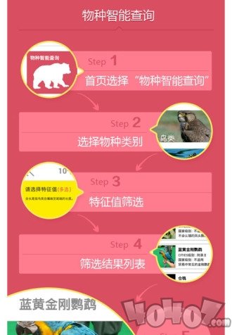 动物守护者