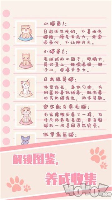 猫咪养成：云撸猫