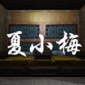 孙美琪疑案:夏小梅